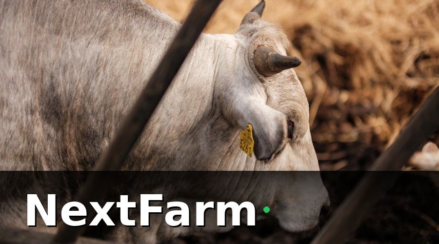 NextFarm — IoT giám sát đàn bò theo thời gian thực