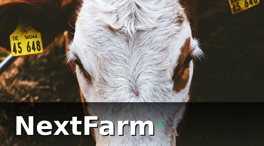 NextFarm — AI chẩn đoán bệnh và hỗ trợ quyết định chăn nuôi