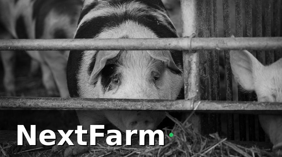 NextFarm — 1. IoT cảm biến real-time —