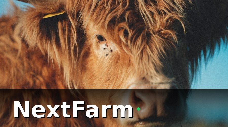 NextFarm — 2. AI phát hiện bệnh — từ