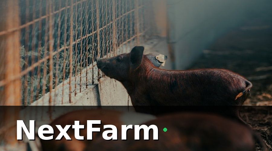 NextFarm — 1. IoT giám sát môi trường chuồng trại — Không còn là xa xỉ
