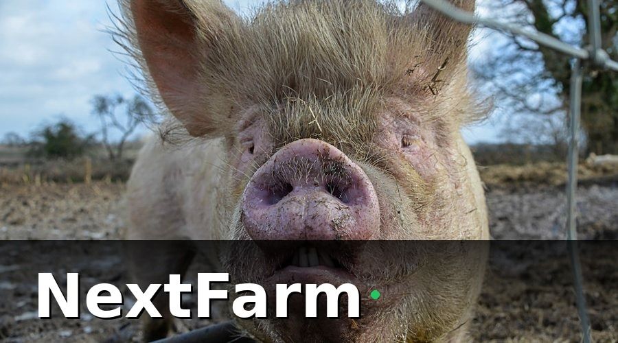 NextFarm — 2. AI phát hiện dịch bệnh sớm — Từ