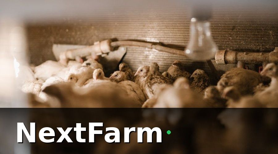 NextFarm — 2. AI phát hiện dịch bệnh sớm — 