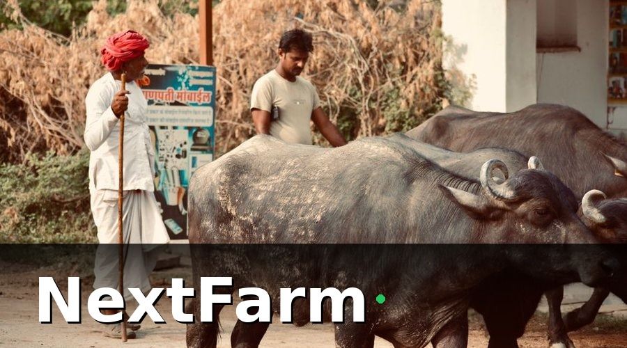 NextFarm — 3. Nhật ký chăn nuôi điện tử — thoát khỏi 