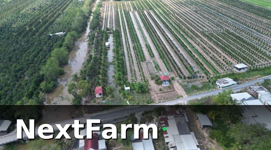 NextFarm — Tại sao năm 2026 là thời điểm bước ngoặt cho cà phê Việt?