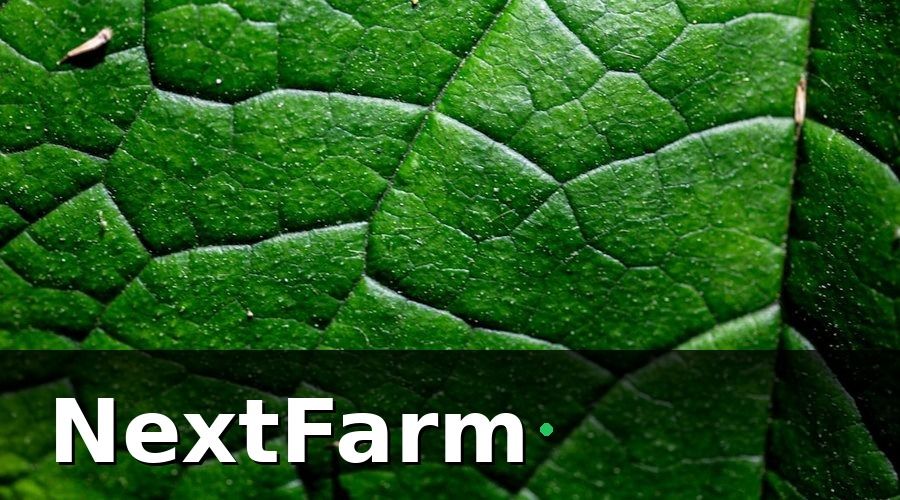 NextFarm — AI phát hiện sâu bệnh — bảo vệ vườn từ sớm, tiết kiệm chi phí phun xịt