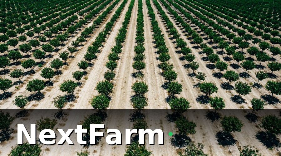 NextFarm — 3. Tưới tự động thông minh: Tiết kiệm nước, tăng năng suất