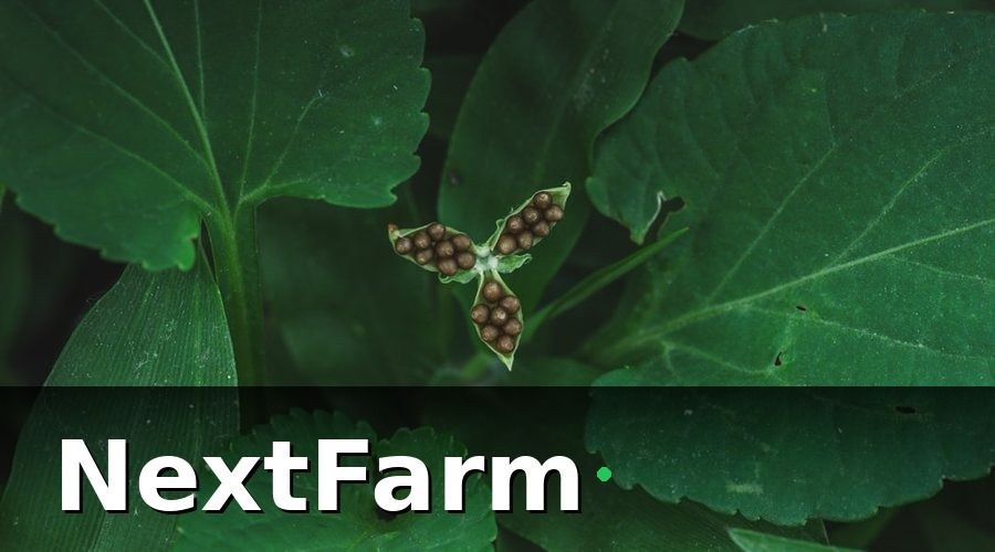NextFarm — 3. AI phát hiện sâu bệnh — chẩn đoán nhanh hơn chuyên gia