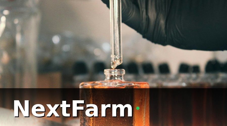 NextFarm — Tại sao xuất khẩu đòi hỏi kiểm soát sâu bệnh chặt chẽ?