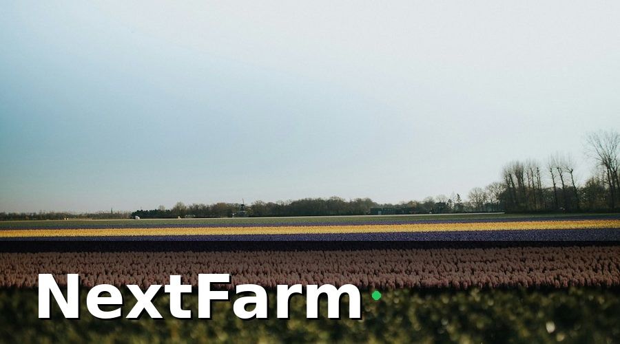 NextFarm — AI phát hiện sâu bệnh hỗ trợ chứng nhận như thế nào?