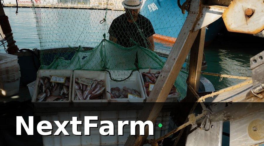 NextFarm — Tại sao xuất khẩu ao nuôi thủy sản đòi hỏi chứng nhận nghiêm ngặt?