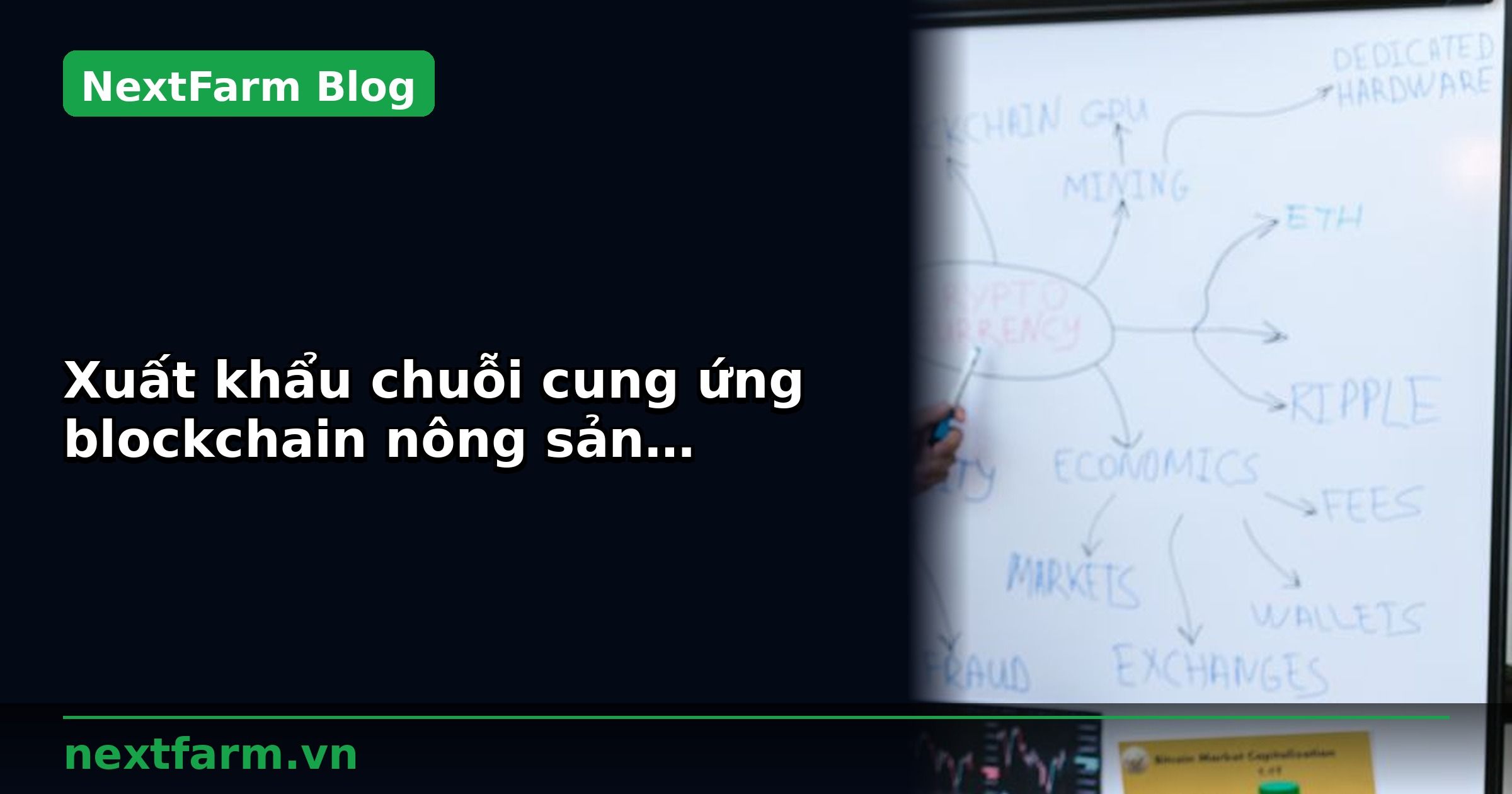Xuất khẩu chuỗi cung ứng blockchain nông sản: chứng nhận và tiêu chuẩn | NextFarm