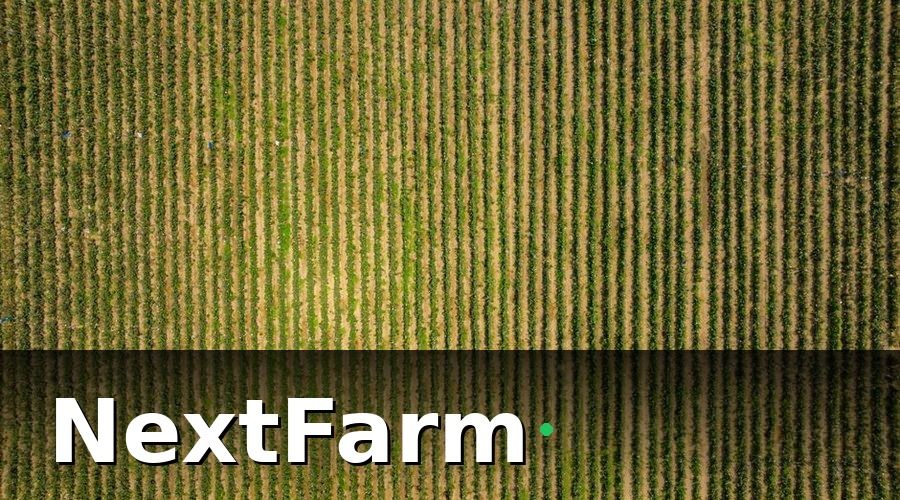 NextFarm — Tại sao các thị trường khó tính đòi hỏi blockchain?