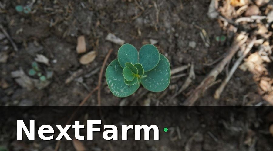 NextFarm — Tại sao cảm biến đất cần chứng nhận khi xuất khẩu?