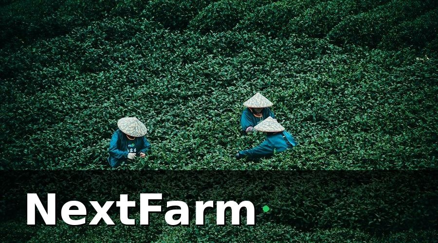 NextFarm — Thách thức khi xuất khẩu nông sản Việt Nam
