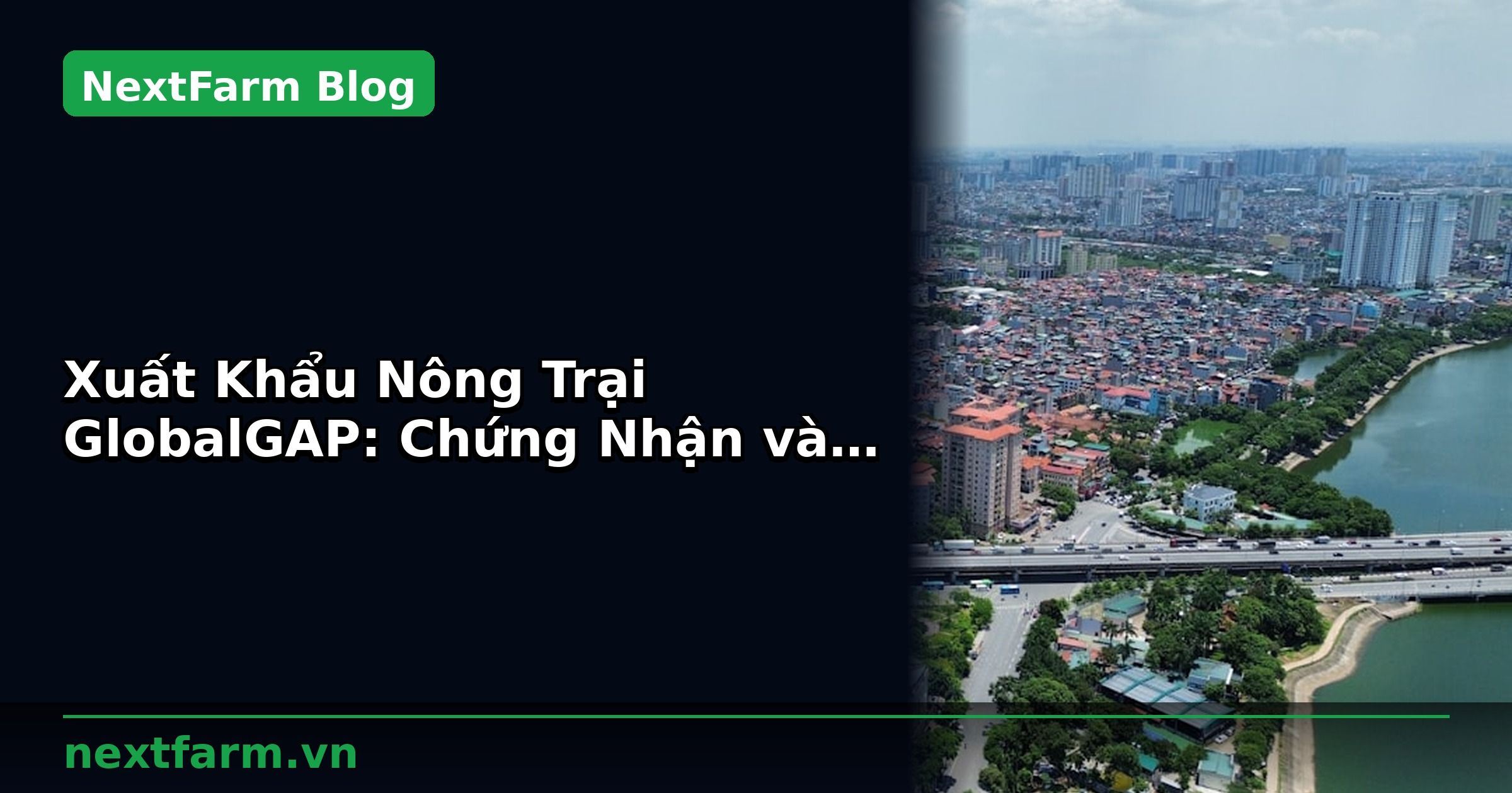 Xuất Khẩu Nông Trại GlobalGAP: Chứng Nhận và Tiêu Chuẩn | NextFarm