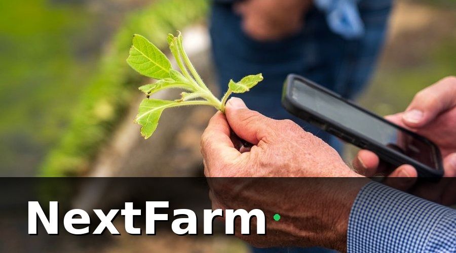 NextFarm — GlobalGAP là gì và tại sao bắt buộc để xuất khẩu?