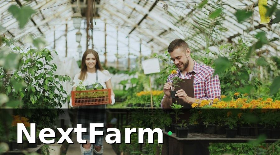 NextFarm — Tại sao HTX cần chuẩn bị chứng nhận xuất khẩu từ sớm?