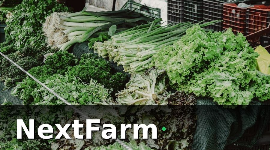 NextFarm — Các chứng nhận quan trọng khi xuất khẩu