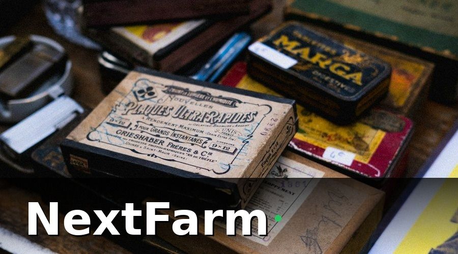 NextFarm — ISO 22000 là gì và tại sao quan trọng với xuất khẩu nông sản?