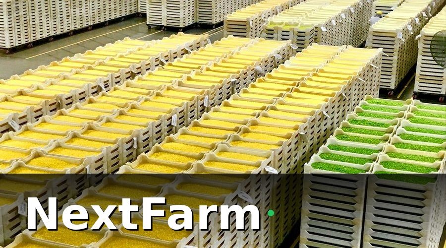 NextFarm — Những yêu cầu cốt lõi của ISO 22000 với cơ sở nông sản