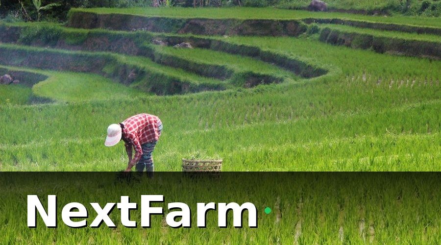 NextFarm — Lộ trình đạt chứng nhận ISO 22000 cho cơ sở xuất khẩu nông sản