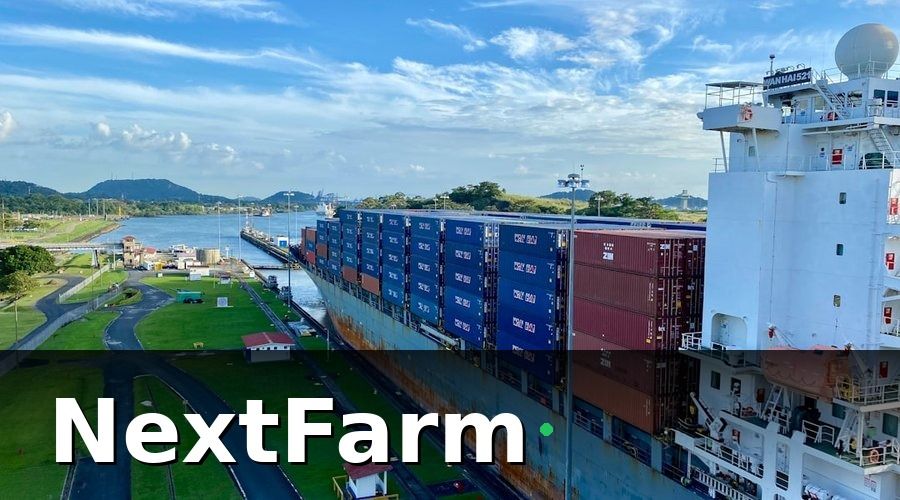 NextFarm — Tại sao xuất khẩu lúa gạo ngày càng đòi hỏi cao hơn?