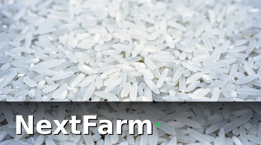 NextFarm — Tiêu chuẩn kỹ thuật gạo xuất khẩu theo từng thị trường