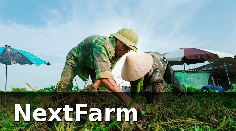 NextFarm — Tại Sao Truy Xuất Nguồn Gốc Trở Thành 