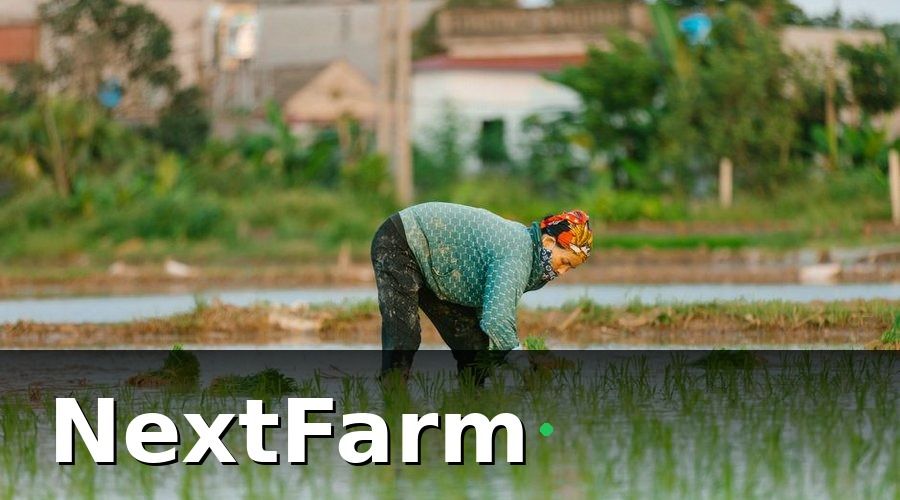 NextFarm — Những rào cản phổ biến của nông trại nhỏ và vừa