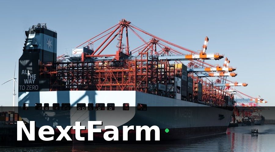 NextFarm — Tại sao xuất khẩu rau thủy canh đang là cơ hội lớn?