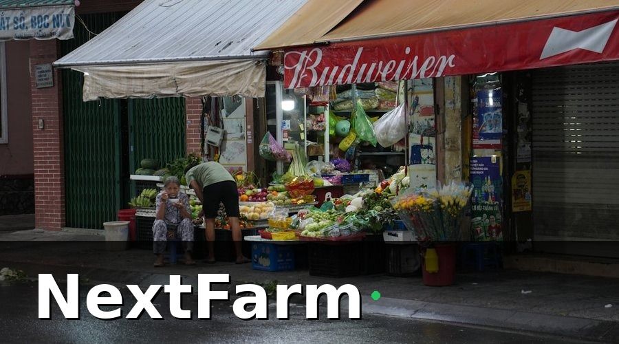 NextFarm — Tại Sao Xuất Khẩu Rau Quả Ngày Càng Khó?