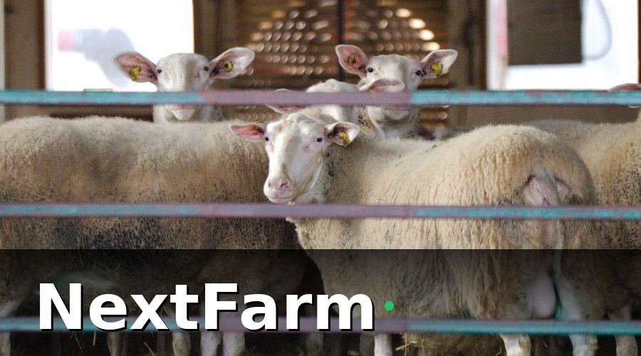 NextFarm — Truy Xuất Nguồn Gốc — Yêu Cầu Không Thể Thiếu