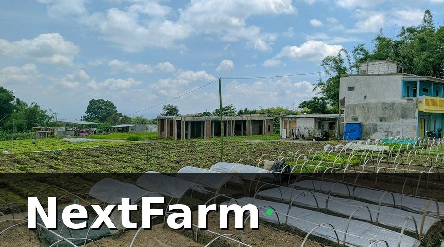 NextFarm — Smart farming giúp đáp ứng tiêu chuẩn xuất khẩu như thế nào?