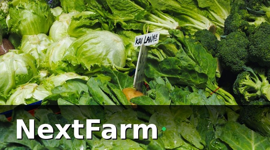 NextFarm — Các chứng nhận phổ biến cho trang trại xuất khẩu