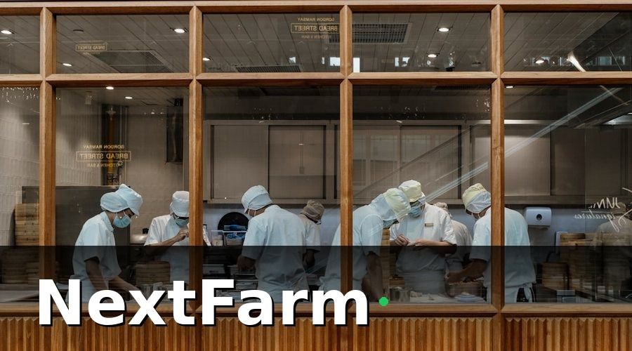 NextFarm — Các tiêu chuẩn quốc tế bắt buộc khi xuất khẩu bò thịt