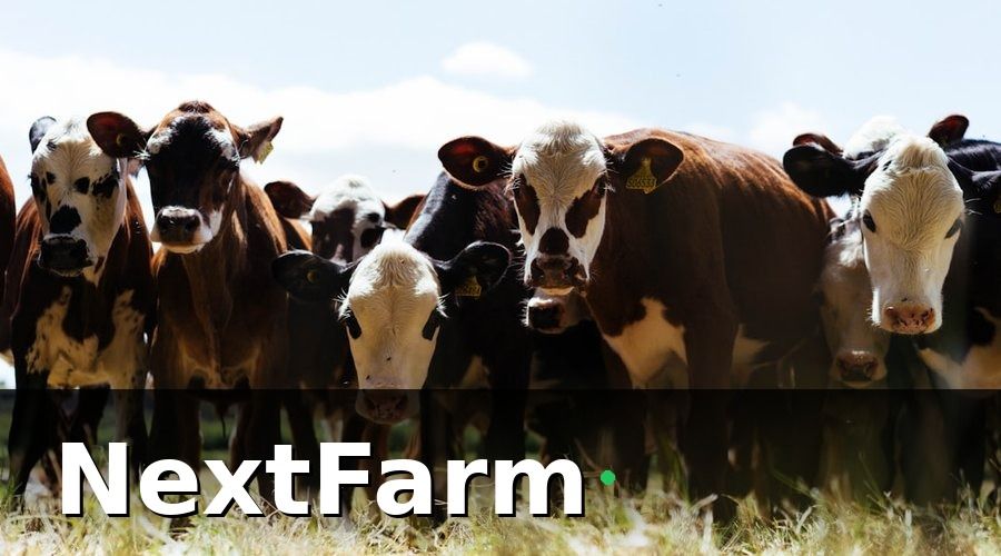 NextFarm — Quy trình từng bước để đạt chứng nhận xuất khẩu