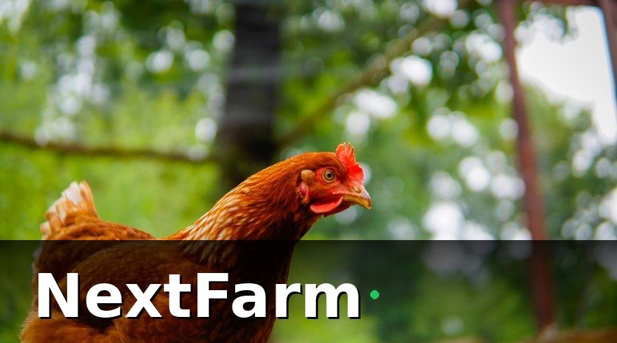 NextFarm — Tiêu chuẩn kỹ thuật trang trại cần đáp ứng trước khi xuất khẩu