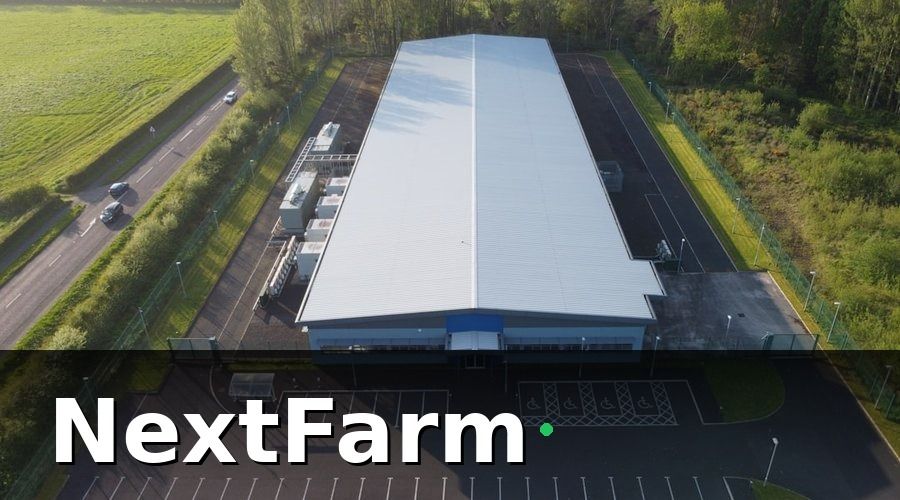 NextFarm — Tại sao xuất khẩu từ trang trại heo ngày càng khả thi?
