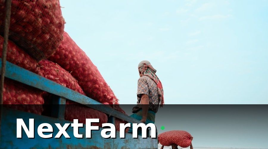 NextFarm — 3. Lộ trình từng bước chuẩn bị xuất khẩu