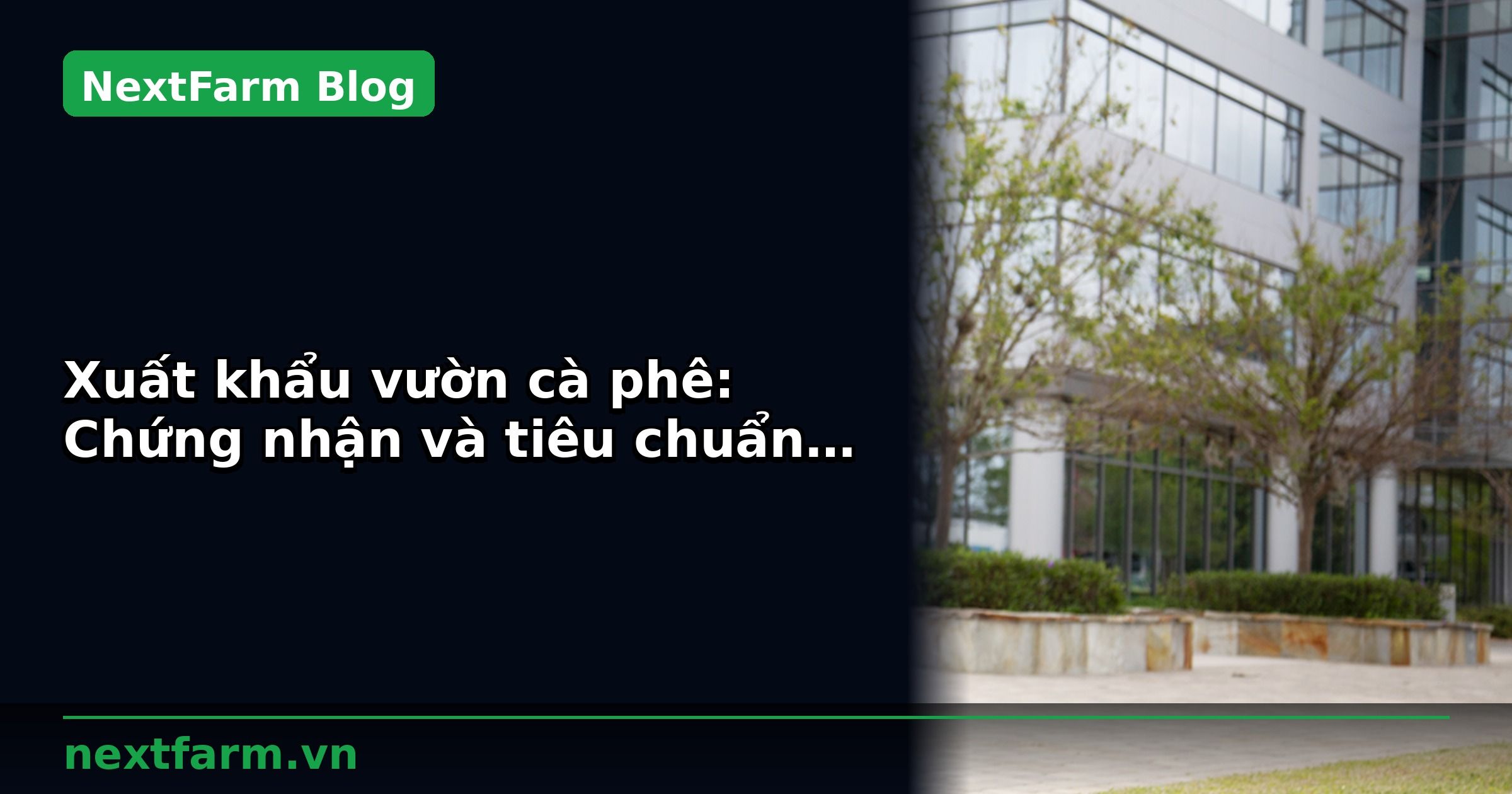 Xuất khẩu vườn cà phê: Chứng nhận và tiêu chuẩn cần biết | NextFarm