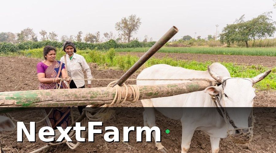 NextFarm — Quy trình chuẩn bị hồ sơ xuất khẩu vườn cà phê từng bước