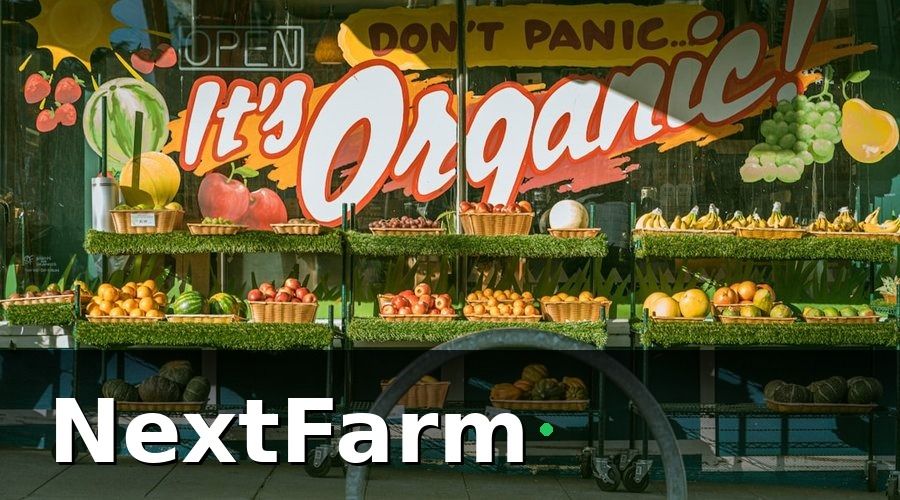 NextFarm — Các tiêu chuẩn chứng nhận cần biết khi xuất khẩu vườn cây ăn quả