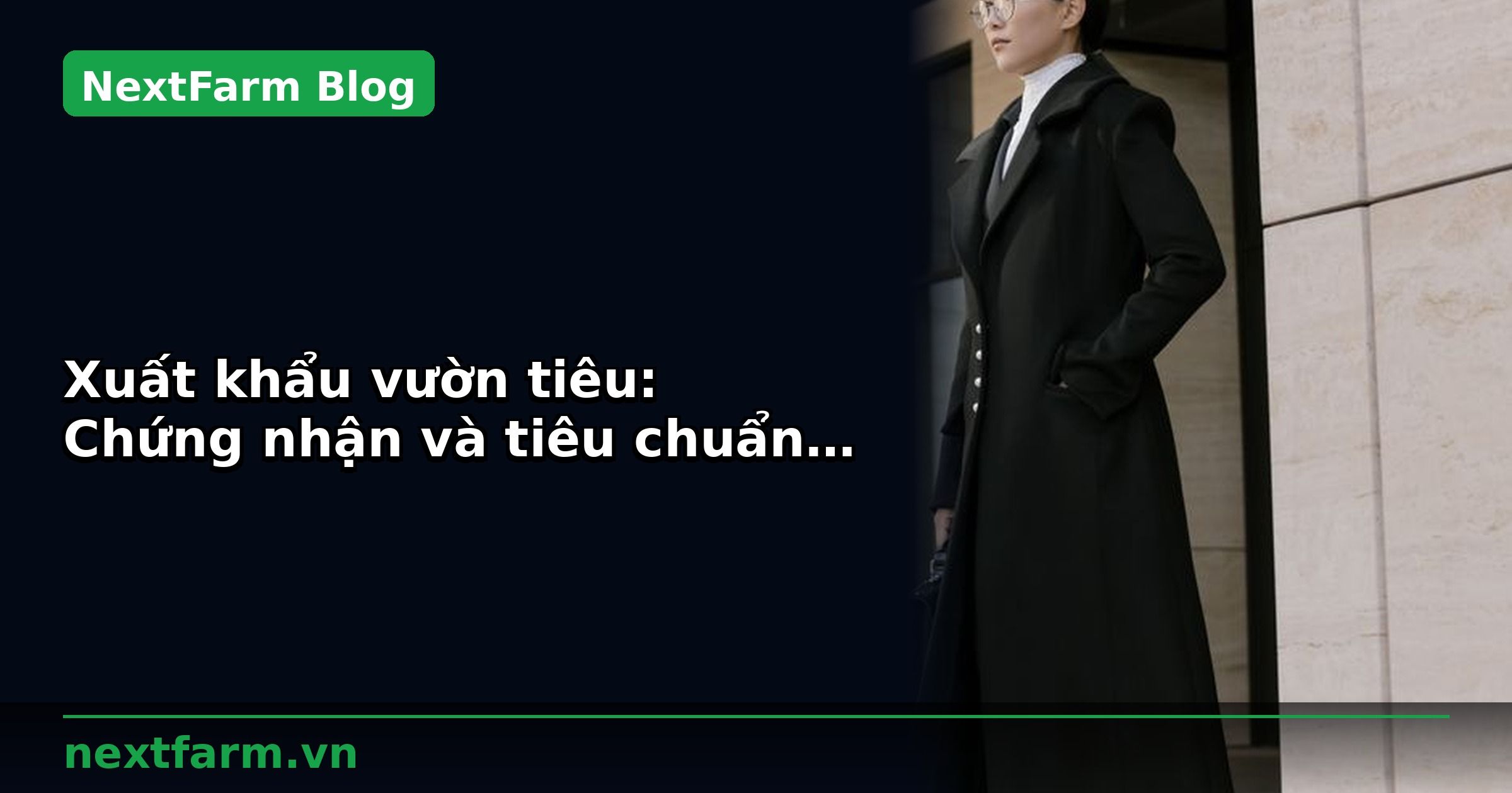 Xuất khẩu vườn tiêu: Chứng nhận và tiêu chuẩn cần biết | NextFarm