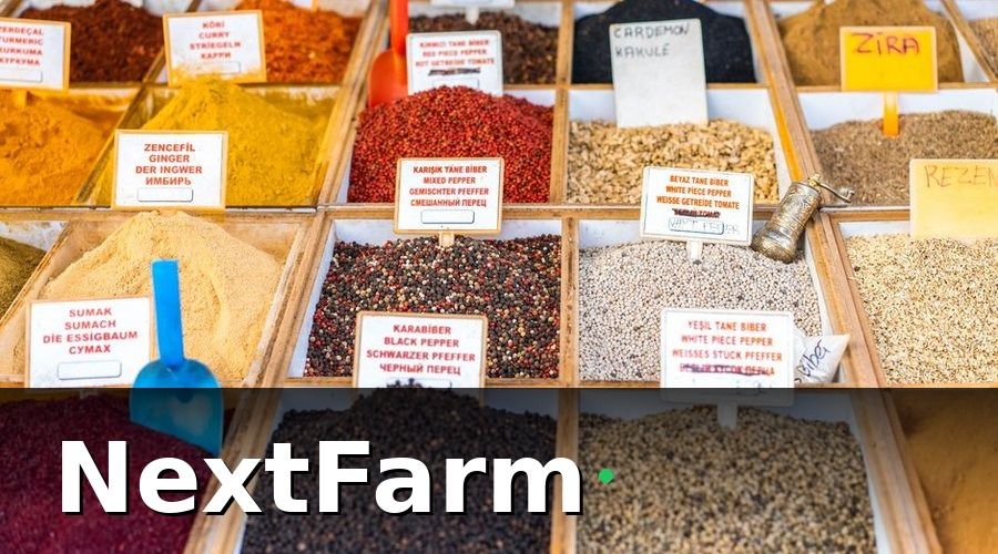 NextFarm — Các chứng nhận phổ biến khi xuất khẩu vườn tiêu
