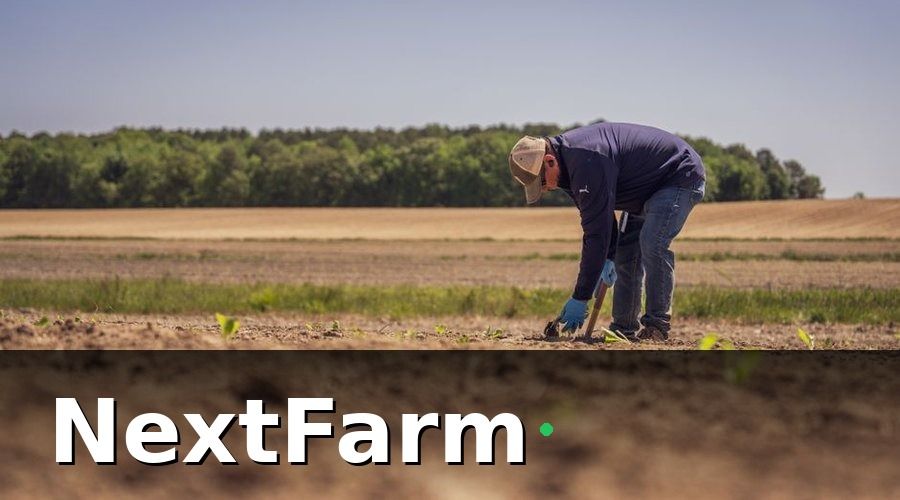 NextFarm — Quy trình chuẩn bị hồ sơ xuất khẩu từ vườn tiêu